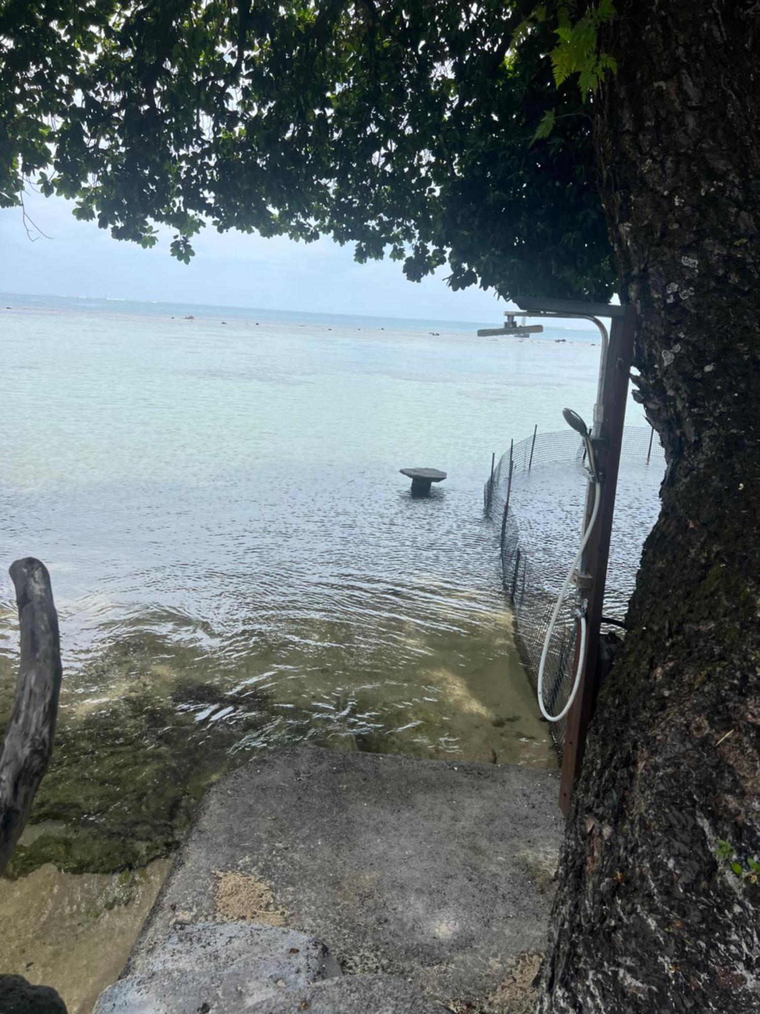 Fare Tetahora Villa Tevaitoa ภายนอก รูปภาพ
