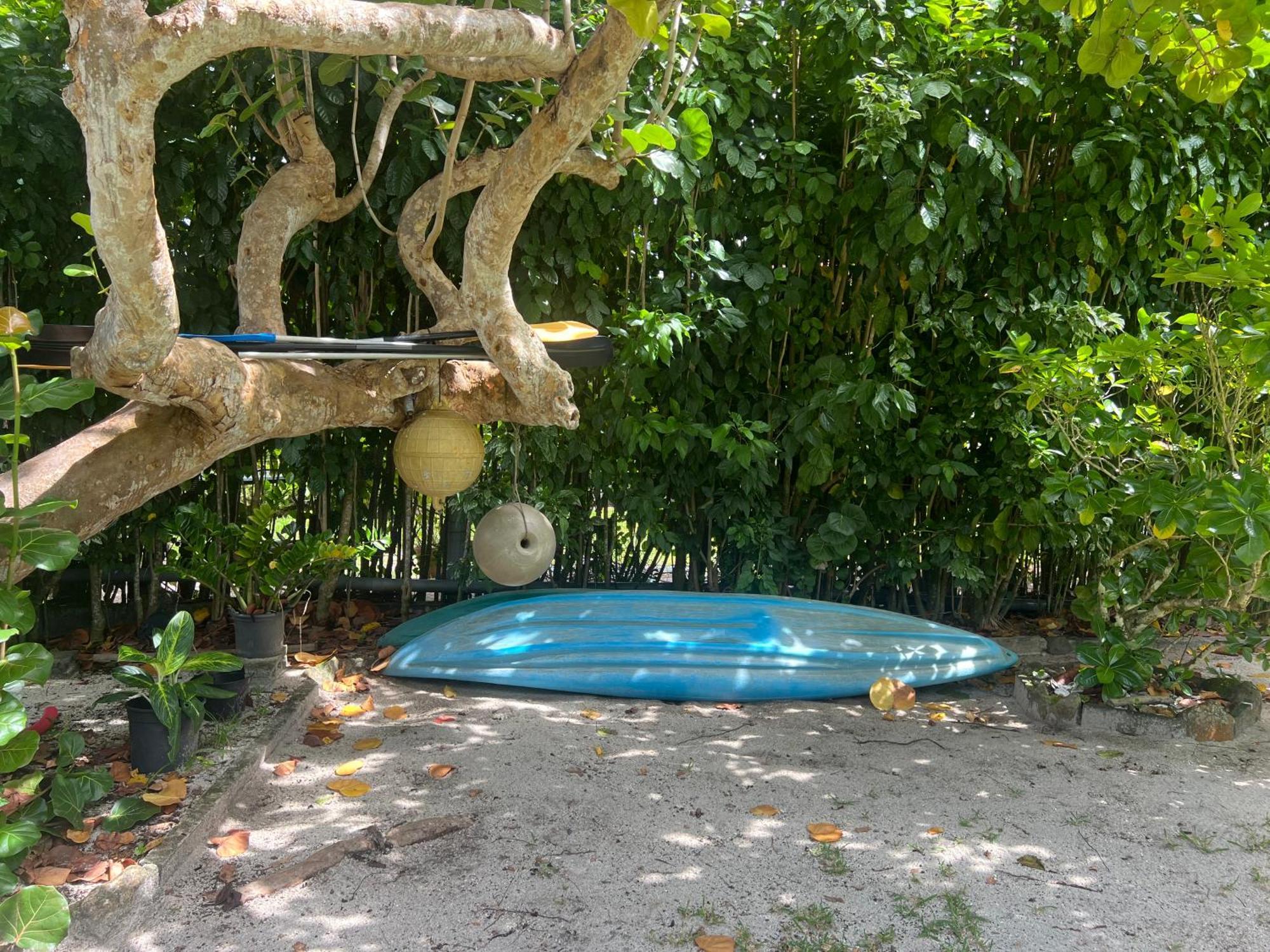 Fare Tetahora Villa Tevaitoa ภายนอก รูปภาพ