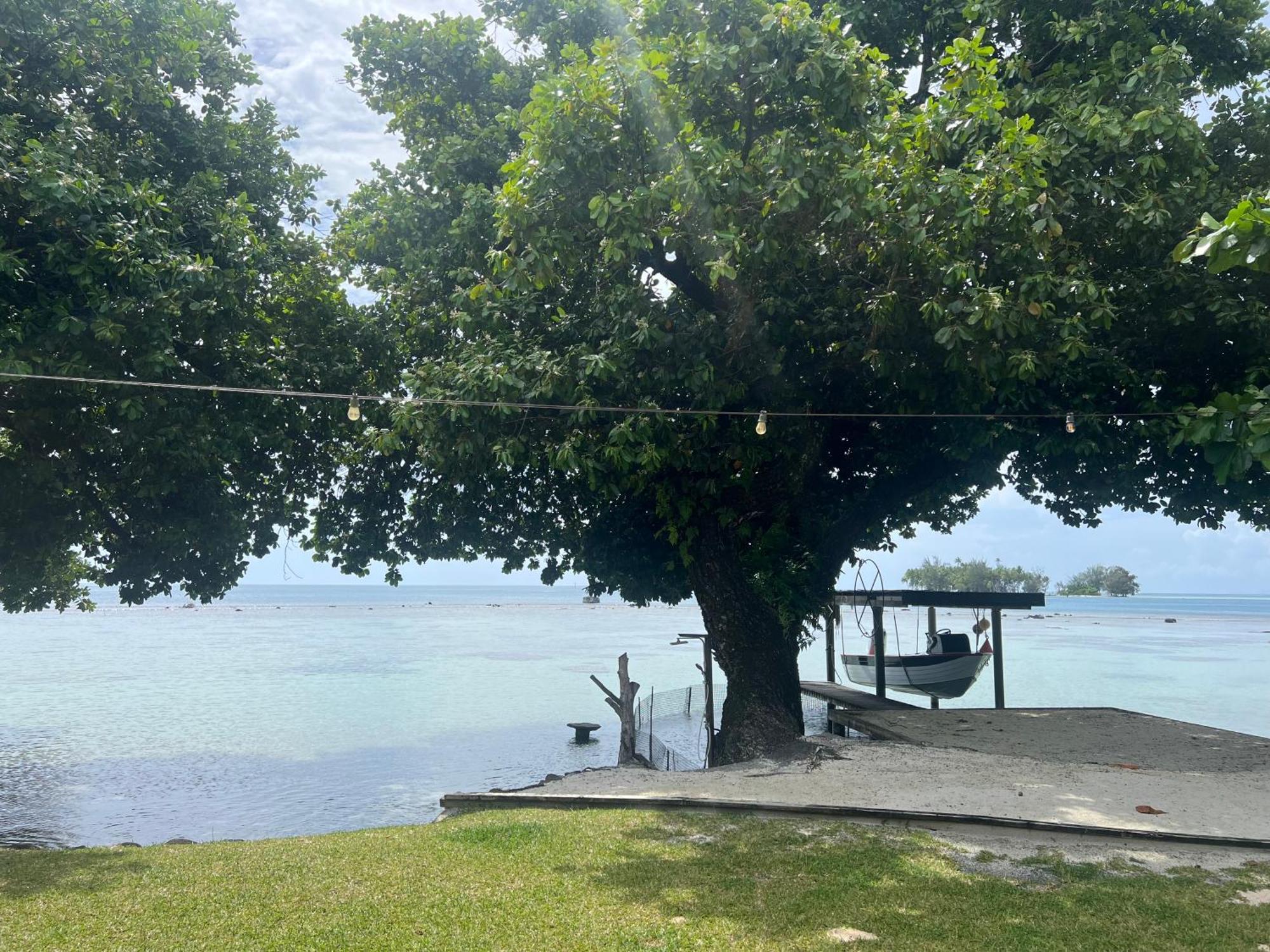 Fare Tetahora Villa Tevaitoa ภายนอก รูปภาพ