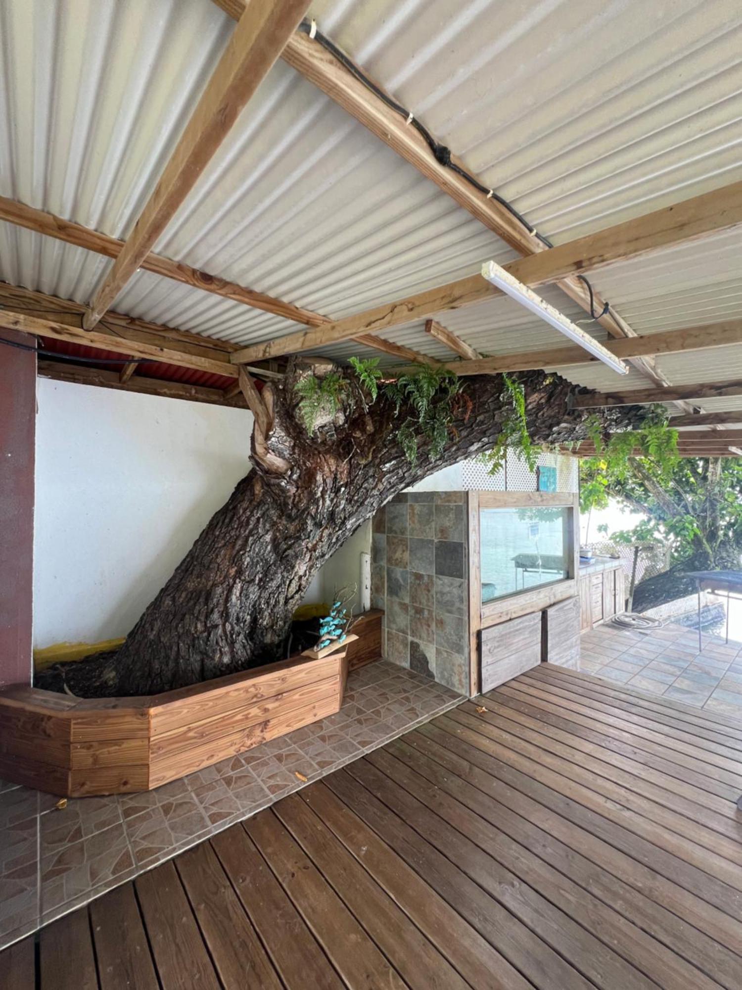 Fare Tetahora Villa Tevaitoa ภายนอก รูปภาพ