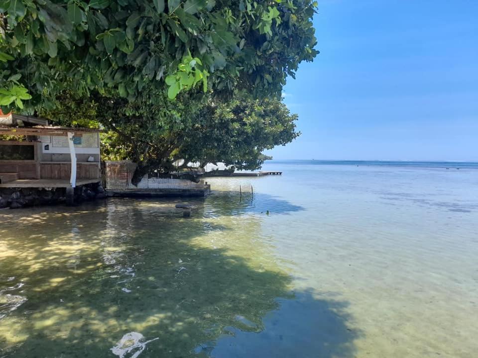 Fare Tetahora Villa Tevaitoa ภายนอก รูปภาพ